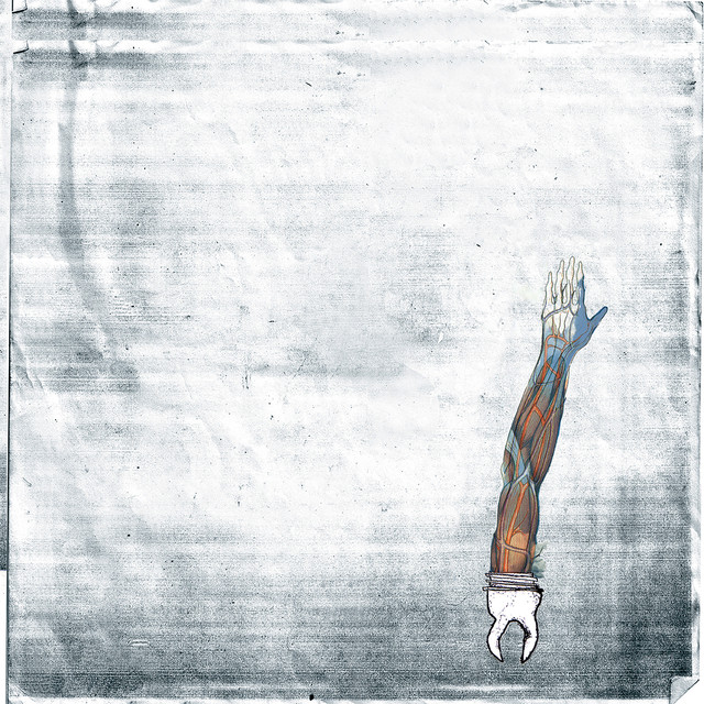 A New White cover