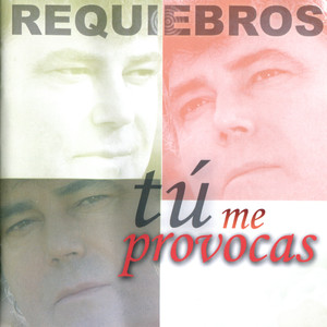 Tú Me Provocas Albumcover