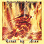 Trial By Fire Albumcover