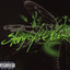 In The Wake Of Determination (PA Version) cover