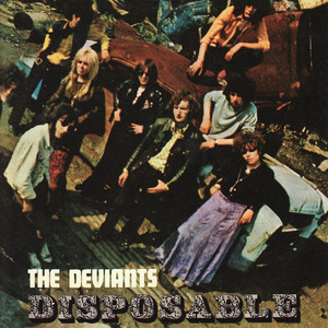 Disposable cover