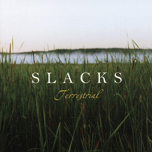 Terrestrial Albumcover