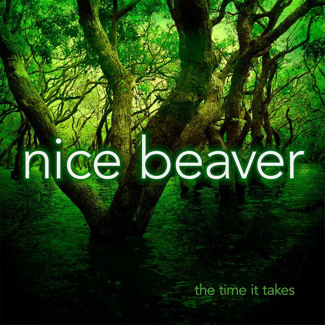 Nice Beaver Photo