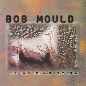 The Last Dog and Pony Show album