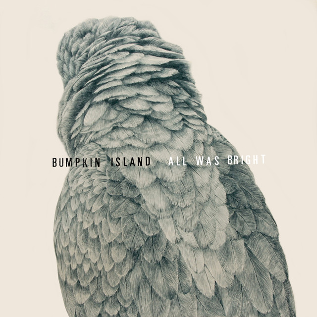 Bumpkin Island Photo