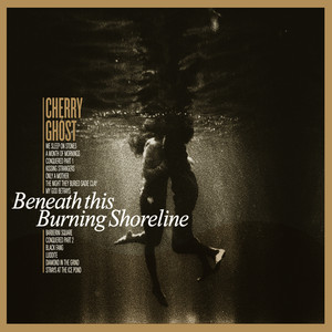 Beneath This Burning Shoreline cover