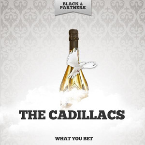 What You Bet album