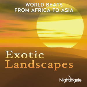 Exotic Landscapes: World Beats from Africa to Asia album