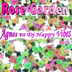 Agnes Vs. DJ Happy Vibes