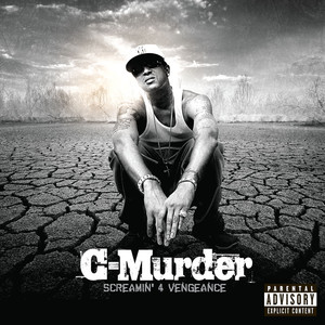 Screamin' 4 Vengeance album