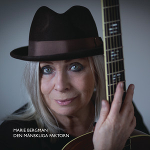 Den Mänskliga Faktorn cover