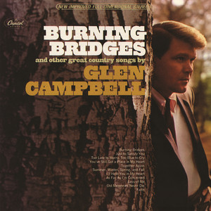 Burning Bridges cover