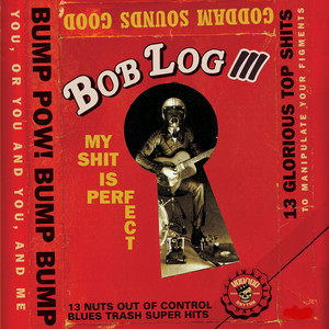 My Shit Is Perfect cover