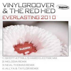 Vinylgroover & The Red Hed