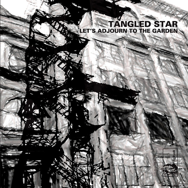 Tangled Star Photo