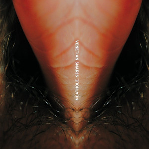 Meathole cover