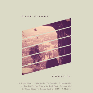 Take Flight cover