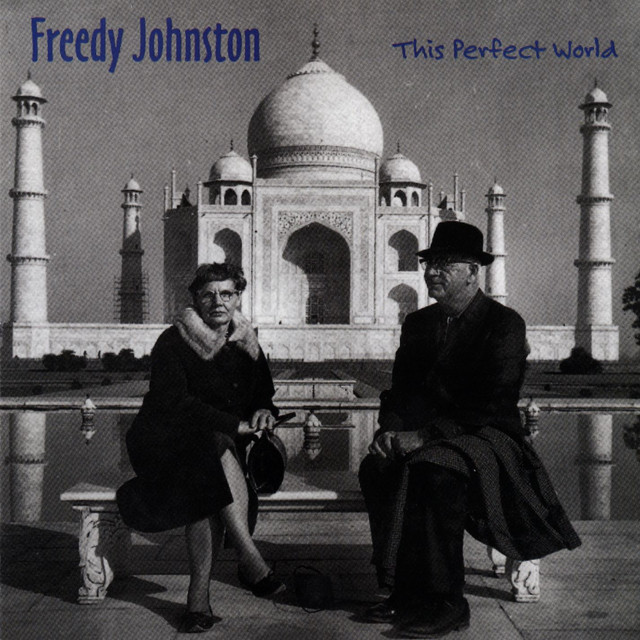 This Perfect World cover