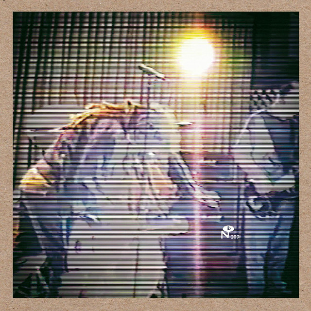 Super Static Fever Photo