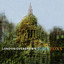 London Overgrown cover