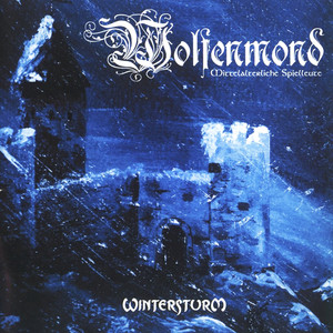 Wintersturm cover