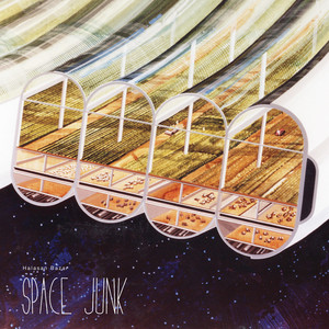 Space Junk cover