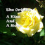 A Kiss And A Rose Albumcover