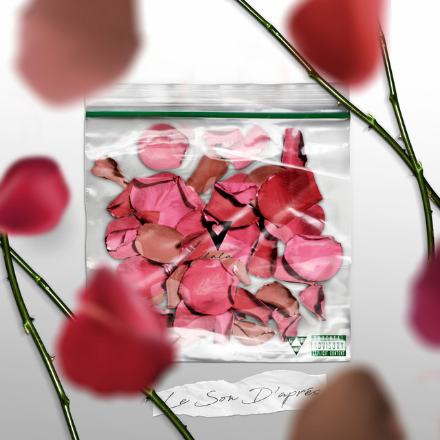 Musik Album 'Le son d'après'