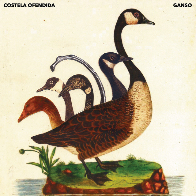 Costela Ofendida cover