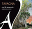 Tavagna