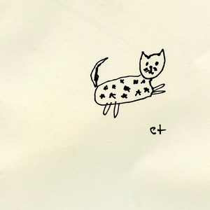 starry cat Photo