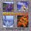 Seasons Albumcover