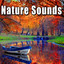 Nature Sounds Albumcover