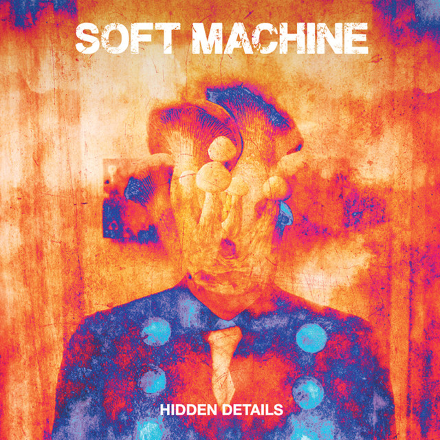 Hidden Details cover