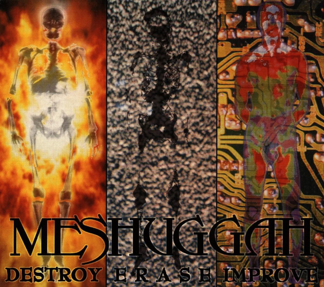 Destroy Erase Improve (reloaded) cover