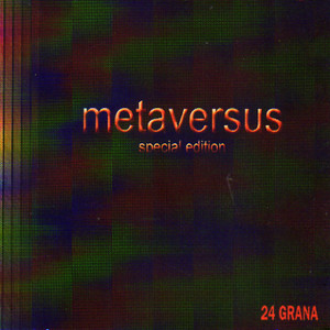 Nel metaverso cover