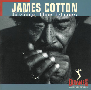 Living the Blues album