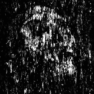 Dead Void Photo