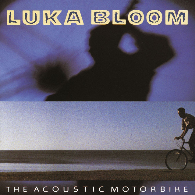 The Acoustic Motorbike cover