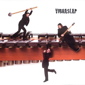 Vibraslap