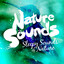 Natural Sounds Sleepy Sounds of Nature Albumcover