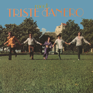 Beginning Dream cover