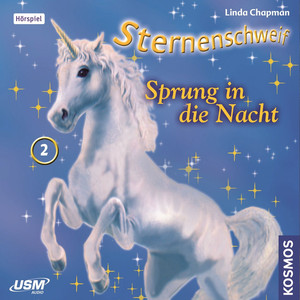 Teil 2: Sprung in die Nacht Audiobook