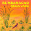 Rumbanacao cover