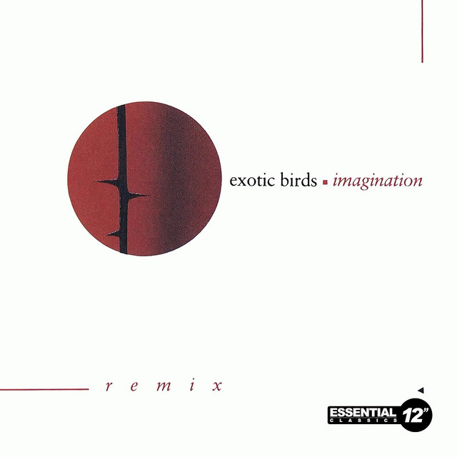 Imagination (remix) cover