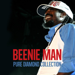 Beenie Man​ ​Pure Diamond Collection album