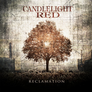 Reclamation cover