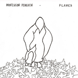Pilot cover