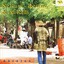 Sellam, Renne & Ali Keïta, Abidjan, Côte d'Ivoire Albumcover