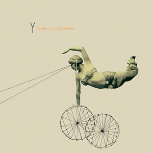 Y cover